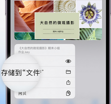 牧野apple维修中心分享iPhone文件应用中存储和找到下载文件