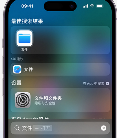 牧野apple维修中心分享iPhone文件应用中存储和找到下载文件