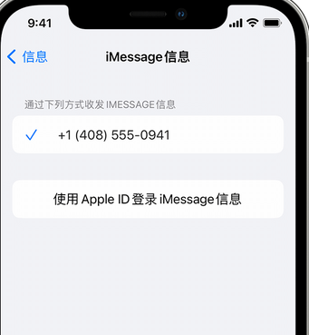 牧野apple维修iPhone上无法正常发送iMessage信息 