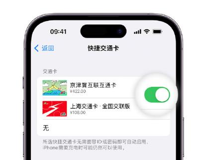 牧野apple维修点分享iPhone上更换Apple Pay快捷交通卡手绘卡面 