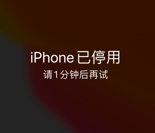 牧野苹果手机维修分享:iPhone 显示“不可用”或“已停用”怎么办？还能保留数据吗？ 