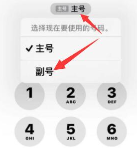 牧野苹果14维修店分享iPhone 14 Pro Max使用副卡打电话的方法 