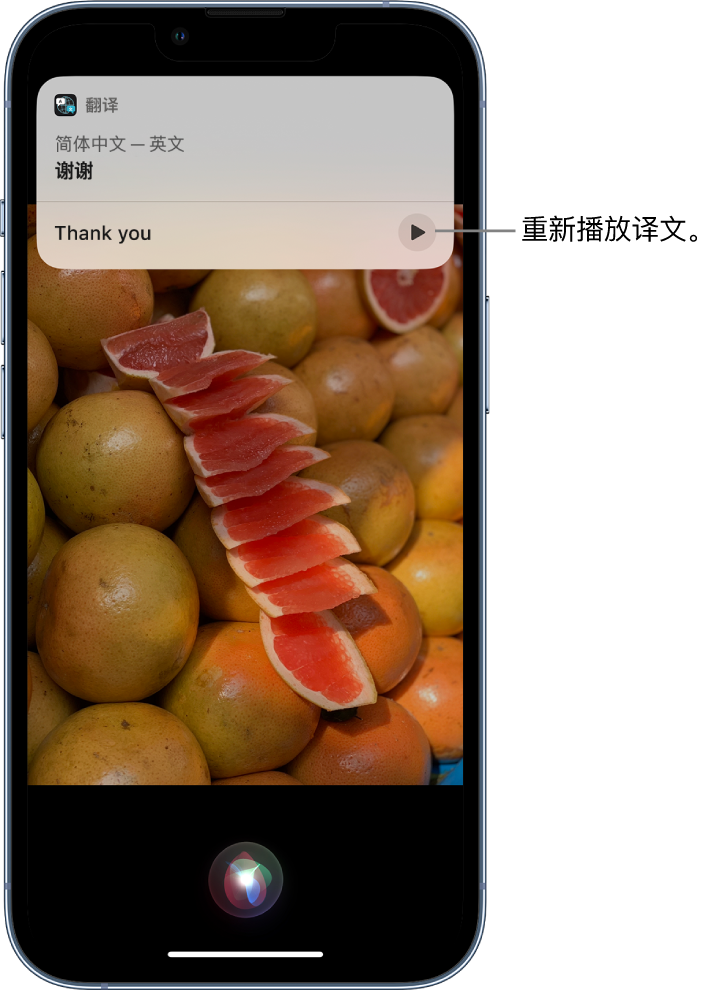 牧野苹果14维修分享 iPhone 14 机型中使用 Siri：了解 Siri 能帮你做什么 